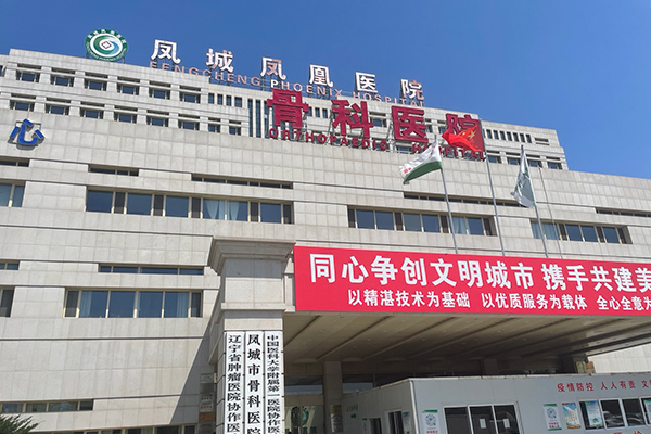 丹東市鳳城鳳凰醫(yī)院采購品源雙能X射線骨密度儀